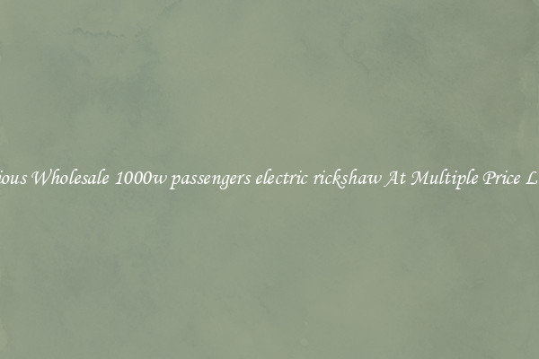 Various Wholesale 1000w passengers electric rickshaw At Multiple Price Levels