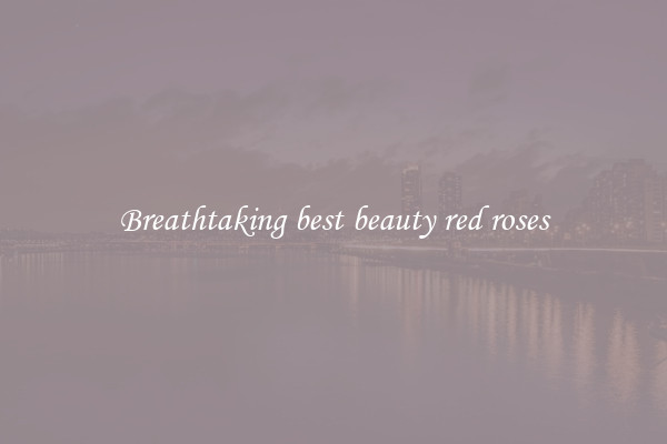 Breathtaking best beauty red roses