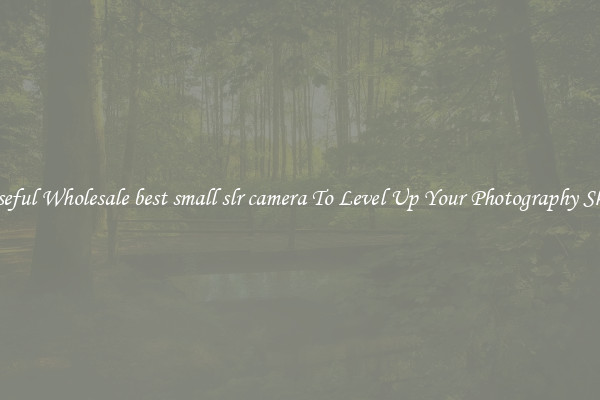 Useful Wholesale best small slr camera To Level Up Your Photography Skill
