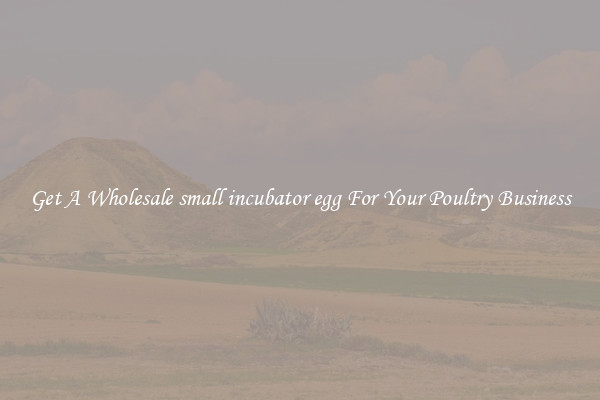 Get A Wholesale small incubator egg For Your Poultry Business