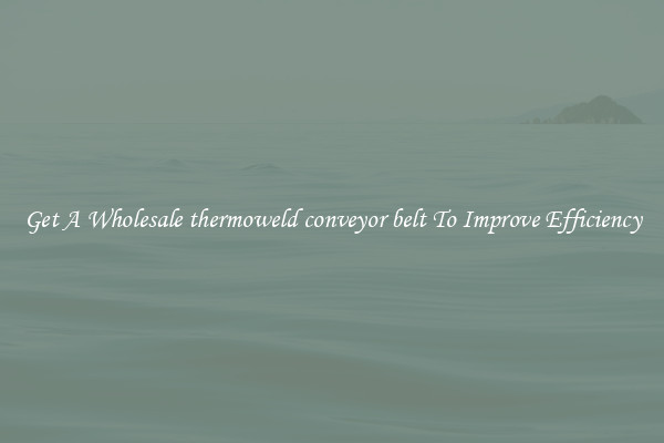 Get A Wholesale thermoweld conveyor belt To Improve Efficiency
