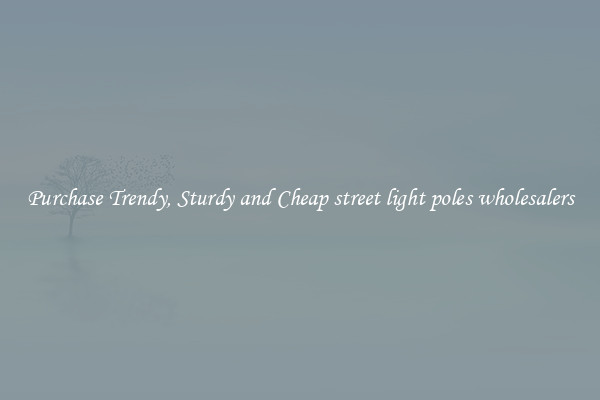Purchase Trendy, Sturdy and Cheap street light poles wholesalers