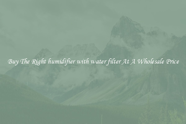 Buy The Right humidifier with water filter At A Wholesale Price
