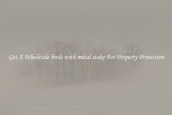Get A Wholesale birds with metal stake For Property Protection