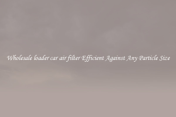 Wholesale loader car air filter Efficient Against Any Particle Size