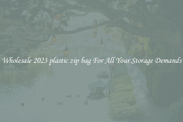 Wholesale 2023 plastic zip bag For All Your Storage Demands
