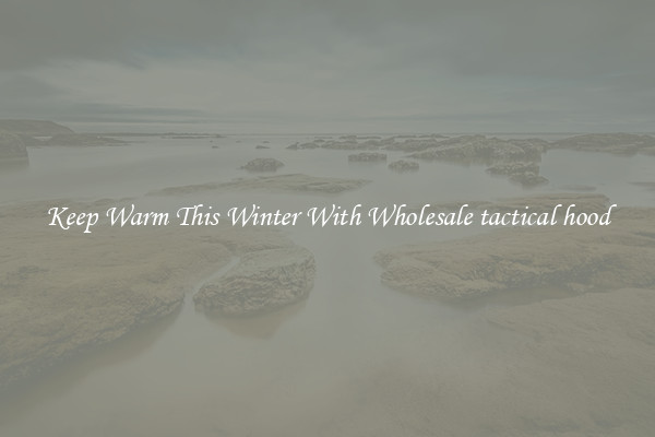 Keep Warm This Winter With Wholesale tactical hood