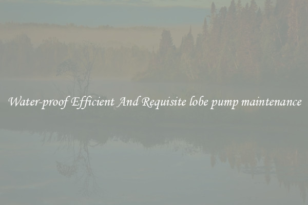 Water-proof Efficient And Requisite lobe pump maintenance