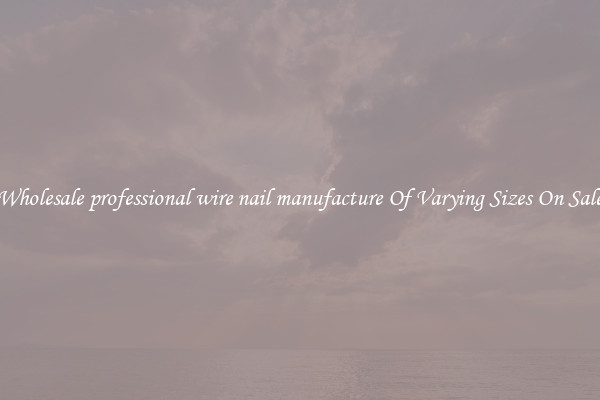 Wholesale professional wire nail manufacture Of Varying Sizes On Sale