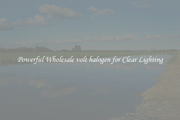 Powerful Wholesale volt halogen for Clear Lighting