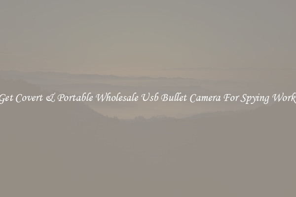 Get Covert & Portable Wholesale Usb Bullet Camera For Spying Works