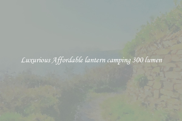 Luxurious Affordable lantern camping 300 lumen