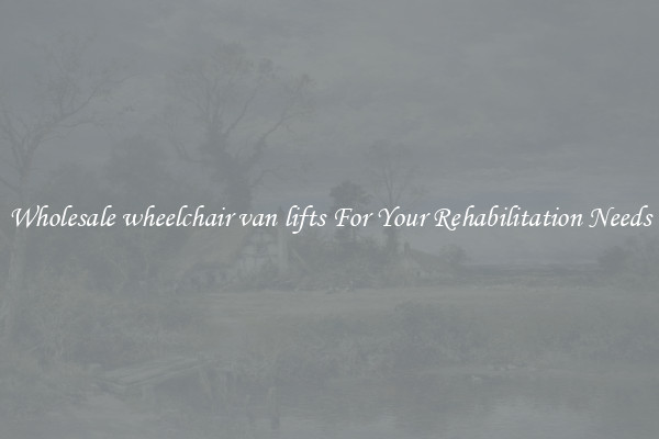 Wholesale wheelchair van lifts For Your Rehabilitation Needs