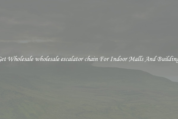 Get Wholesale wholesale escalator chain For Indoor Malls And Buildings