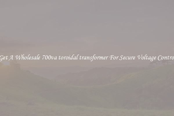 Get A Wholesale 700va toroidal transformer For Secure Voltage Control