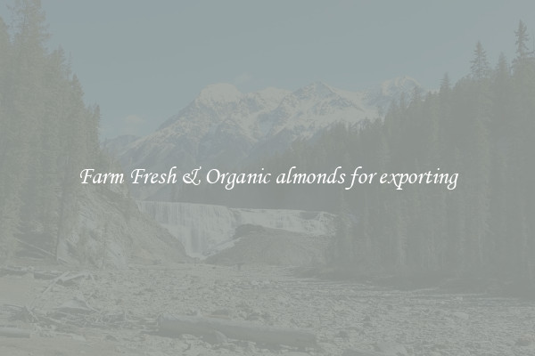 Farm Fresh & Organic almonds for exporting