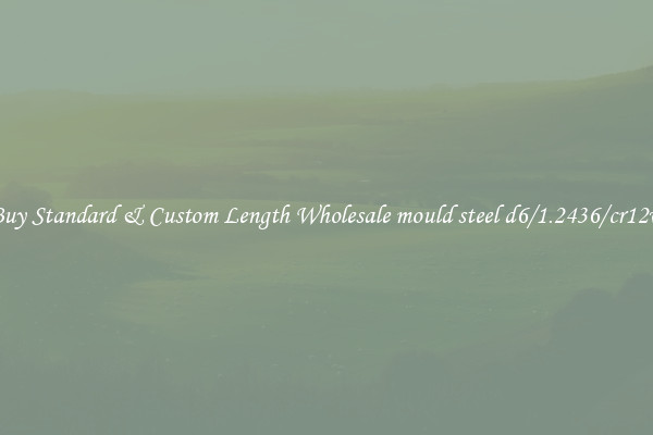 Buy Standard & Custom Length Wholesale mould steel d6/1.2436/cr12w