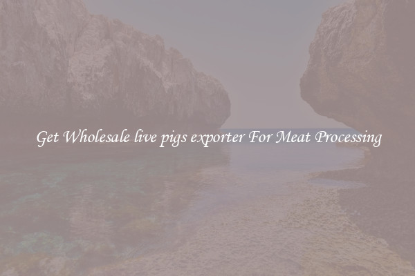 Get Wholesale live pigs exporter For Meat Processing